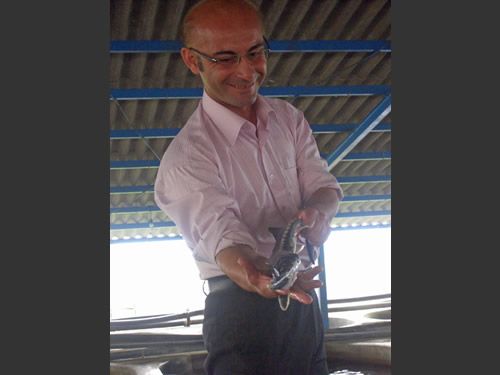 bandare anzali, fisch und kaviar: mit iran erlebnis reisen