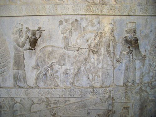 shiraz & persepolis: mit iran erlebnis reisen